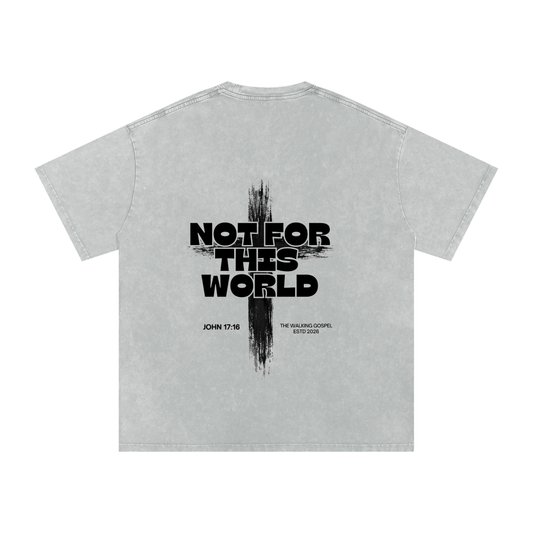 Snow Washed Oversized Cotton T-Shirt